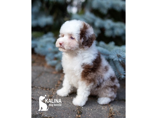 Kalina Leonora| Female |Reserved