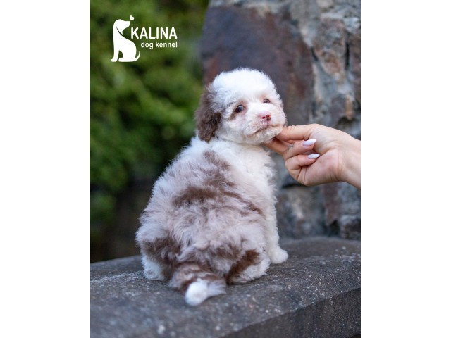 Kalina Leonora| Female |Reserved
