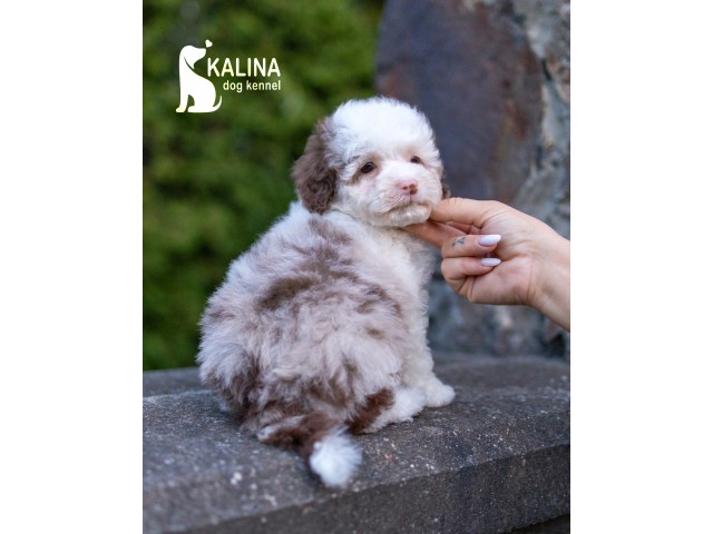 Kalina Leonora| Female |Reserved