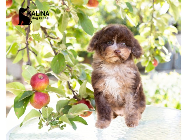 Kalina Nancy| Female