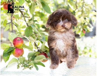 Kalina Nancy| Female