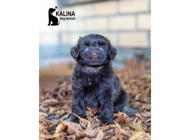 Kalina Nino| Female | Reserved