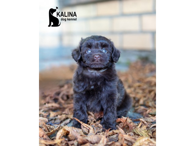 Kalina Nino| Female | Reserved