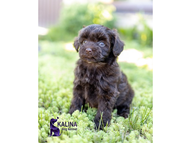 Kalina Nino| Female | Reserved