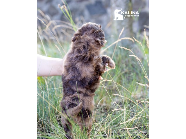 Kalina Olgerda| Female